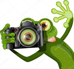 PhotoGadget, Bresso orari di apertura