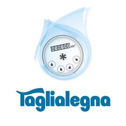 Ditta Taglialegna Lettura e Telelettura contatori acqua, Firenze orari di apertura
