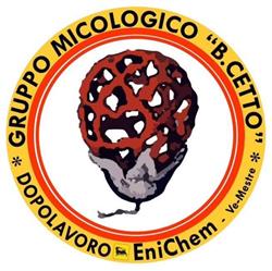 Gruppo Micologico Bruno Cetto, Venezia orari di apertura