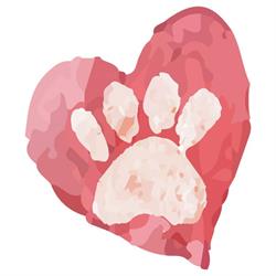 GP Servizi - Cremazione animali, Alassio orari di apertura