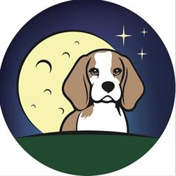 Allevamento Moonlightsky beagle, Valle Lomellina orari di apertura