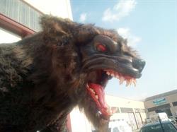 Animatrix Srls, Volta Mantovana orari di apertura