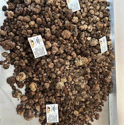 Pellitta Truffles, Policoro orari di apertura