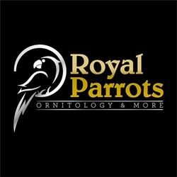 Royal Parrots di Zimbelli Enrico, Casale di Scodosia orari di apertura