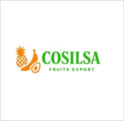 Cosilsa Fruits export, Genova orari di apertura