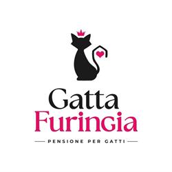 Gatta Furingia, Scandicci orari di apertura