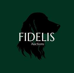 Fidelis Auctions Casa d'Aste, Bologna orari di apertura