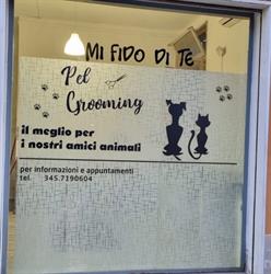 Mi Fido Di Te di Cristina Minarelli, Baricella orari di apertura