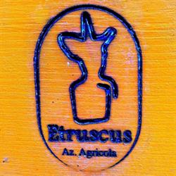 Etruscus, Montepulciano orari di apertura