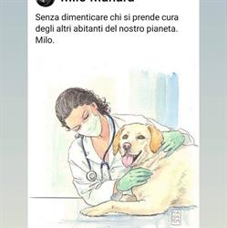 Ambulatorio Veterinario Associato Val Vibrata, Nereto orari di apertura
