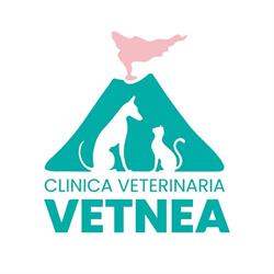 Clinica Veterinaria Vetnea Catania, orari di apertura