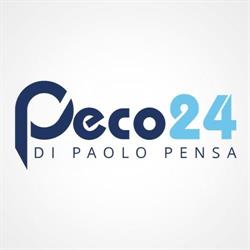 Tapparelle a Roma Peco24 - Pronto intervento elettriche e assistenza serrande, orari di apertura