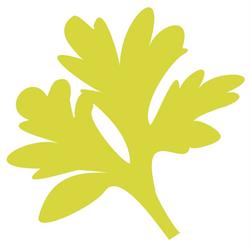 ASSENZ.IO, San Vendemiano orari di apertura