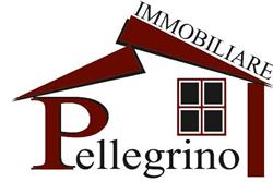 Pellegrino Immobiliare, Ciampino orari di apertura