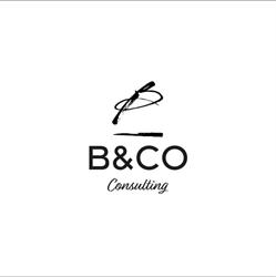 B&CO SRL A SOCIO UNICO, Pomezia orari di apertura