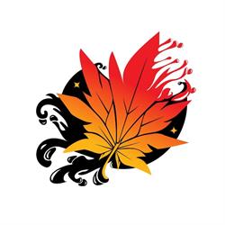 Momiji Tattoo Studio, Pescara orari di apertura