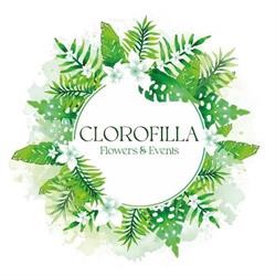 Clorofilla Flowers & Events - Boutique Floreale, Bresso orari di apertura