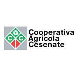 CAC Seeds, Cesena orari di apertura