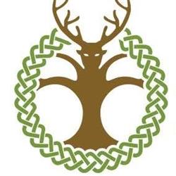 Mutina Boica, Modena orari di apertura