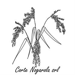 Corte Nogarola srl, Bagnolo orari di apertura