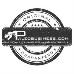 Paleobusiness.com, Ponte San Pietro orari di apertura