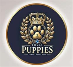 Cuccioli Royal Puppies, Soresina orari di apertura