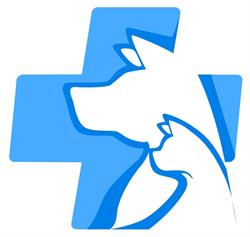 Pet Salus - Ambulatorio Veterinario, Pesaro orari di apertura