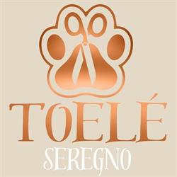 Toelé Seregno - Non Solo Toelettatura, orari di apertura
