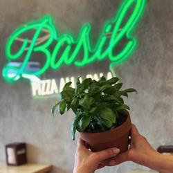 Basil Pizzeria, Riva del Garda orari di apertura