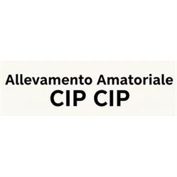 Allevamento Amatoriale Cip Cip, Meana di Susa orari di apertura