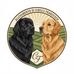 Allevamento Cibelli Terranova e Golden Retriever, Sala Consilina orari di apertura