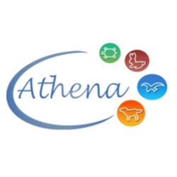 Athena, Rivoli orari di apertura