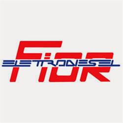 Officina Elettrodiesel Di F. Lli Fior Gino & Federico Snc, Tolmezzo orari di apertura