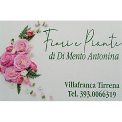 Fiori e Piante di Di Mento Antonina, Villafranca Tirrena orari di apertura