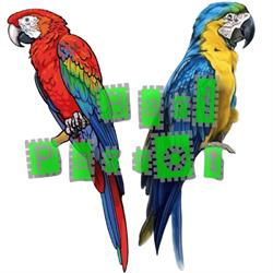 Bari Parrot Exotic, Modugno orari di apertura