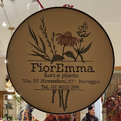 FiorEmma di Girotti Emma, Bareggio orari di apertura