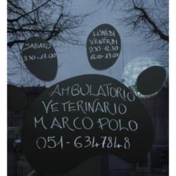Ambulatorio Veterinario Marco Polo di Basso e Chimenti, Viareggio orari di apertura