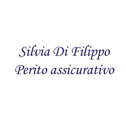 Perito assicurativo infortunistica stradale Silvia Di Filippo, Roma orari di apertura