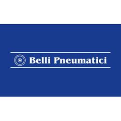 Belli Pneumatici, Casalgrande orari di apertura