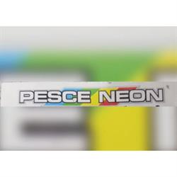 Pesce Neon Servizi, Roma orari di apertura