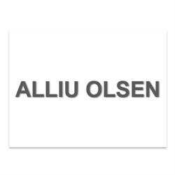 Olsen Alliu, Mira orari di apertura