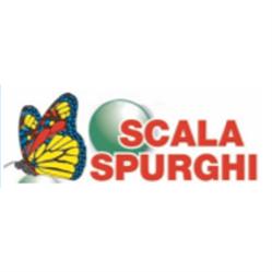 Scaligera Servizi Srl, Cerea orari di apertura