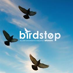 Allontanamento Piccioni e Volatili Tecnologie Innovative BirdControl | Birdstop, Milano orari di apertura