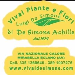 Vivaio Luigi de Simone, Calore orari di apertura