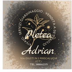 Adrian Pletea, Mascalucia orari di apertura