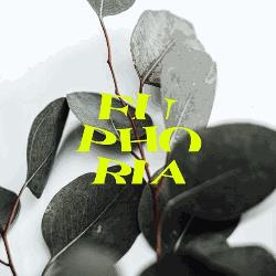 Euphoria Flower Design, Comezzano-Cizzago orari di apertura