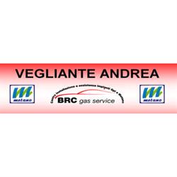 Officina Vegliante Truck e Car, Maddaloni orari di apertura