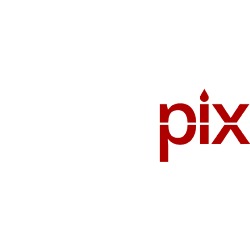 Codepix Web Agency, Quarto orari di apertura