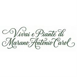 Vivaio Marano, Teverola orari di apertura