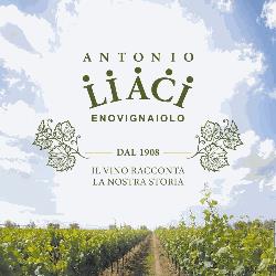Antonio Liaci enovignaiolo, Veglie orari di apertura